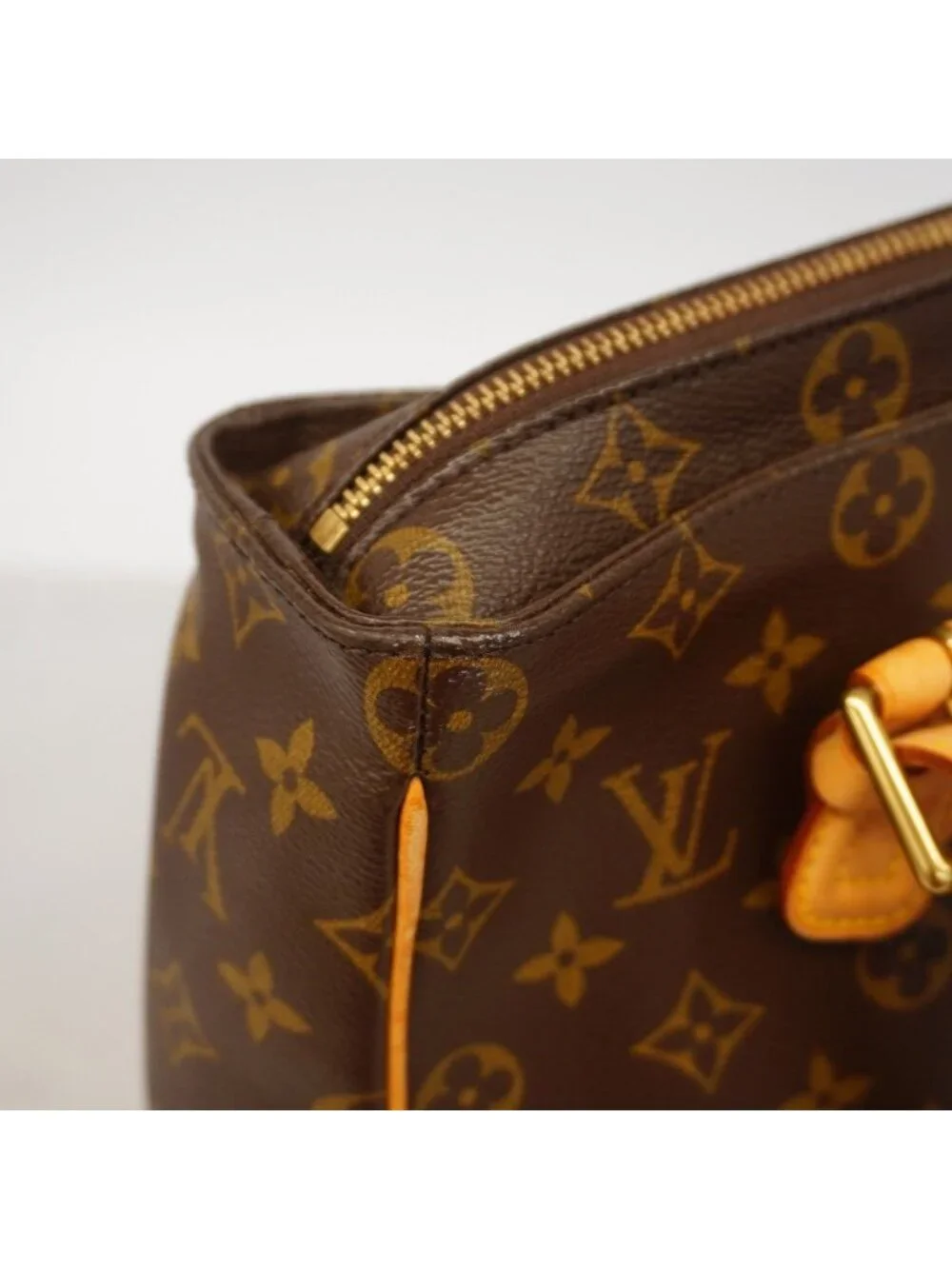 Louis Vuitton Tote Monogram Multiplicity Brown